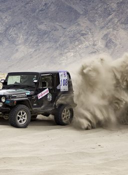 Desert Safari